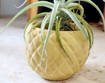 Small Pineapple Flowerpot | Pineapple Planter | Succulent Pot | Ceramic Plant Pot | Cute Desk Accessory | Tropical Decor | Indoor Plant Pot