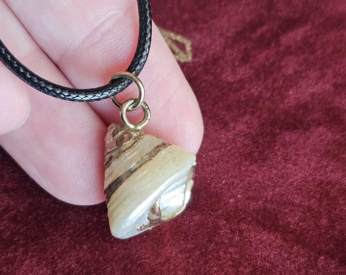 Mystical Watersong Shell Necklace – Water Element Energy, Fae Inspired Jewelry, Vintage Ritual Blessed Pendant