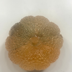 Fall floral pumpkin (small)