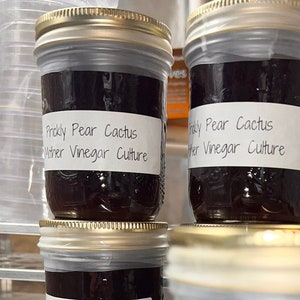 Prickly Pear Cactus Vinegar Mother Culture Starter - Vinegar making - Small Batch Locally sourced from the Arizona Desert