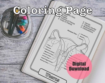 Ovary Anatomy Coloring Page- BLANK- Digital Download Female ...