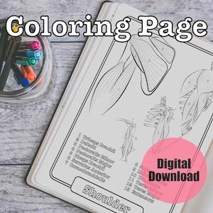 Shoulder Anatomy Adult Kid Coloring Page Sheet Nurse Student Study Guide Digital Download