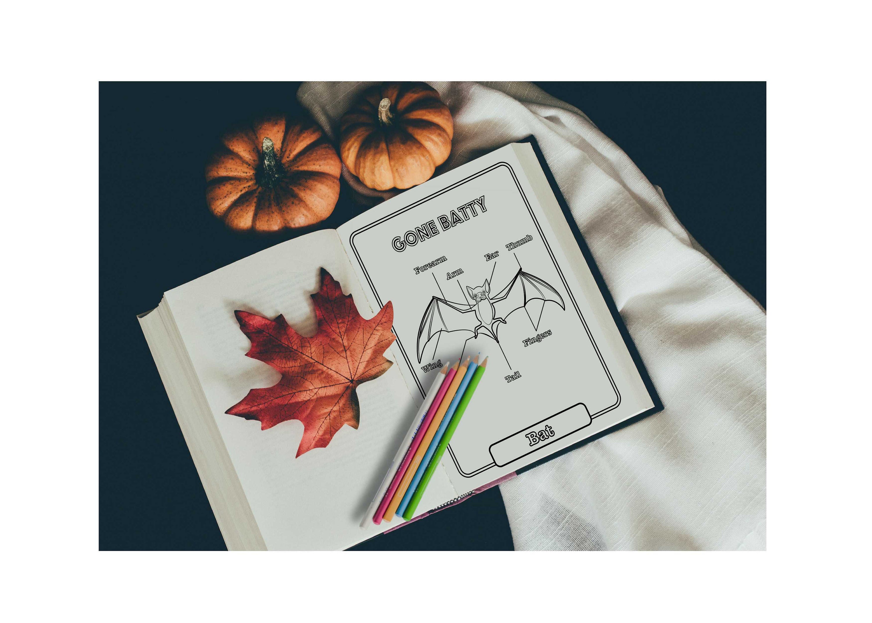 Halloween Coloring Pages for Kids Children's Halloween - Etsy