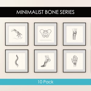 10 Human Skeleton Line Art Prints- Minimalist Anatomy Art Print - Medical Wall Art DIGITAL DOWNLOAD