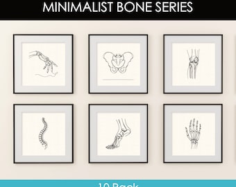 Minimalist Anatomy Art Prints: Human Skeleton Line Art (Digital Download)