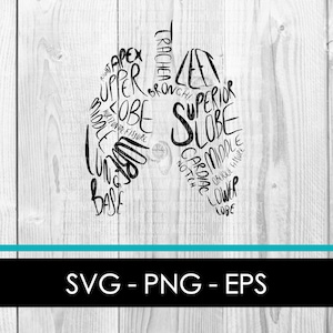 Lung Anatomy Svg/Respiratory system Svg/Silhouette cut files Lung DIGITAL DOWNLOAD