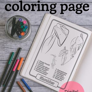 Shoulder Anatomy Adult Kid Coloring Page Sheet Nurse Student Study Guide Digital Download