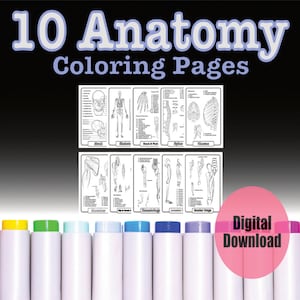 10 Anatomy Coloring Book Pages,  Printable Body Worksheets, Human Study Guide Digital Download