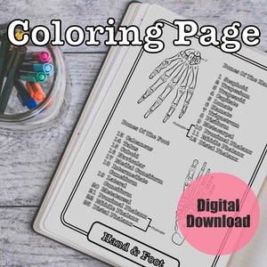 Hand Foot Bones Anatomy Coloring Page, Study Guide Bones Worksheet