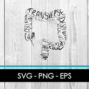 Intestestines Svg/Digestive system Svg/Silhouette cut files Intestinal Anatomy DIGITAL DOWNLOAD