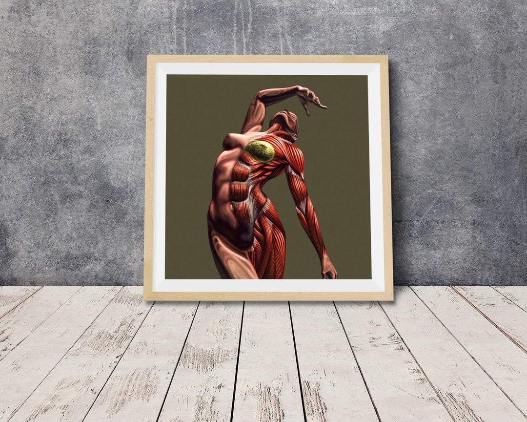 Female Anatomy Art Print Women Body Torso Drawing Illustration Modern ...