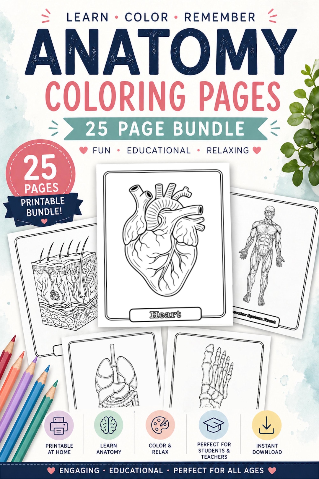 25 pages à colorier anatomie à imprimer, livre de coloriage corps ...
