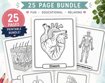 25 Anatomy Coloring Pages Printable,  Human Body Coloring Book, Children's Coloring Book Digital Download