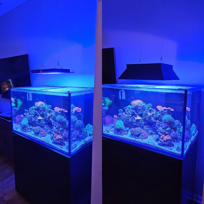 May include: Two large, rectangular saltwater aquariums with blue LED lighting, filled with colorful coral and fish. The aquariums are on black stands and have clear glass sides.