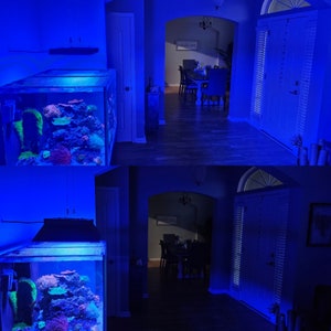 May include: A blue-lit hallway with a large saltwater aquarium on the left side. The aquarium is filled with colorful coral and fish. The hallway has a door on the right side and a doorway leading to another room in the back.