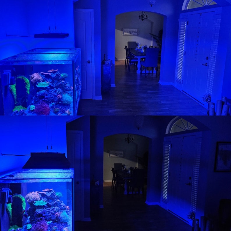 May include: A blue-lit hallway with a large saltwater aquarium on the left side. The aquarium is filled with colorful coral and fish. The hallway has a door on the right side and a doorway leading to another room in the back.