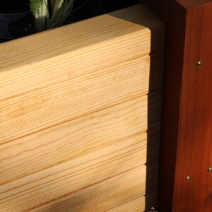 a high contrast look at the difference between the cedar and pine above ground waist high raised garden bed