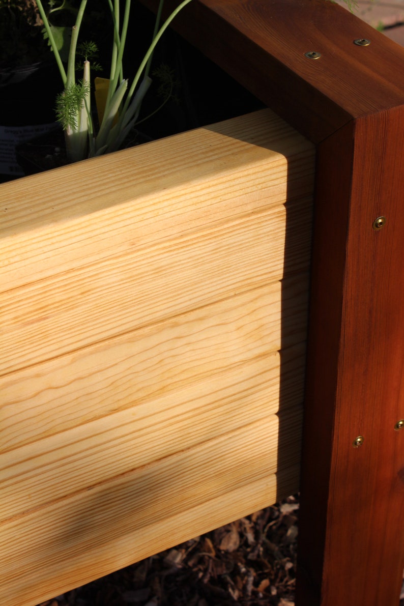 a high contrast look at the difference between the cedar and pine above ground waist high raised garden bed