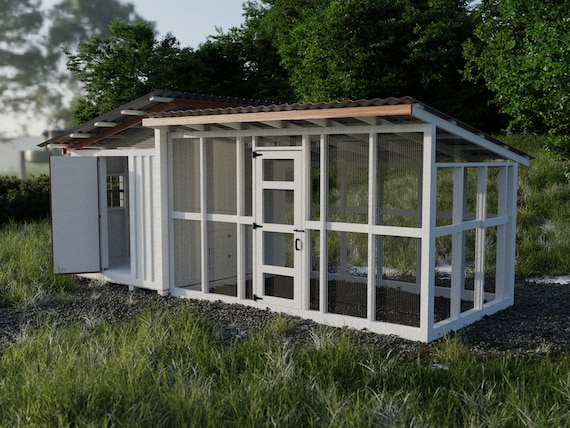 20+ Plants For Chickens Runs