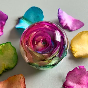 Rainbow Forever Rose - Real Rose Preserved in Resin - Anniversary Gift - Gift for Her