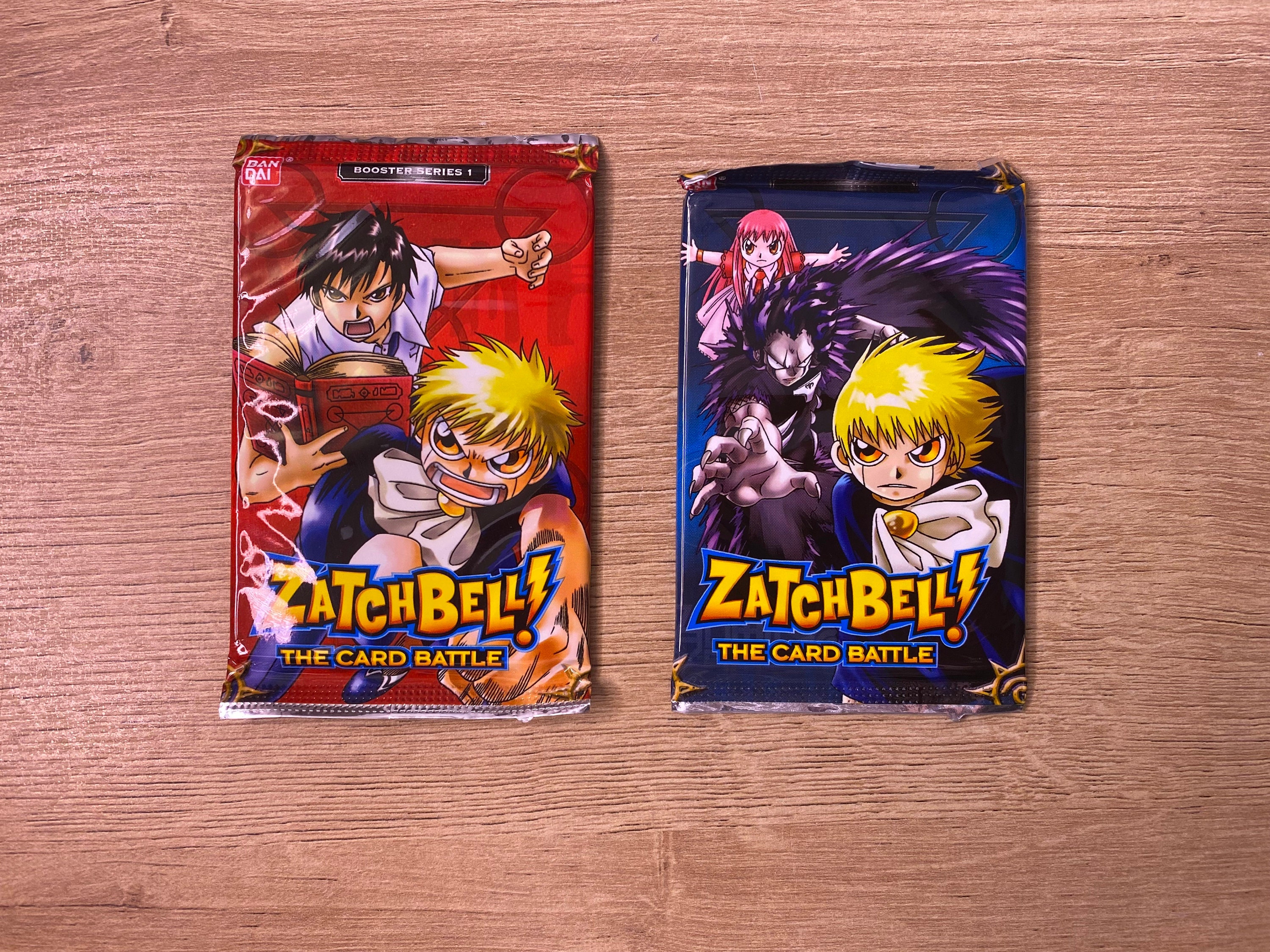 Zatch Bell Book 