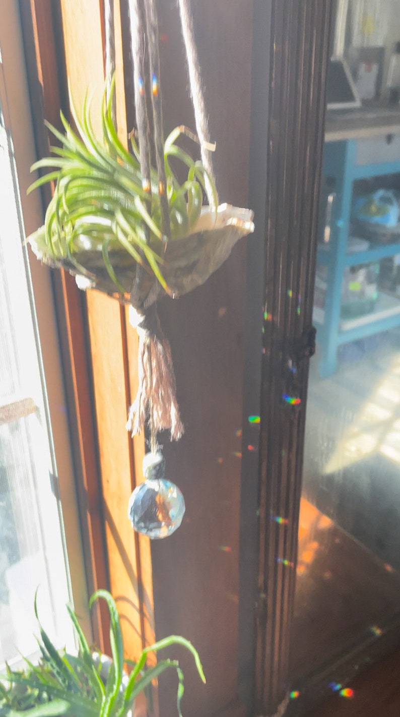 Air Plant Hanger Sun Catcher Rainbow Maker Moon Phases Celestial Etsy