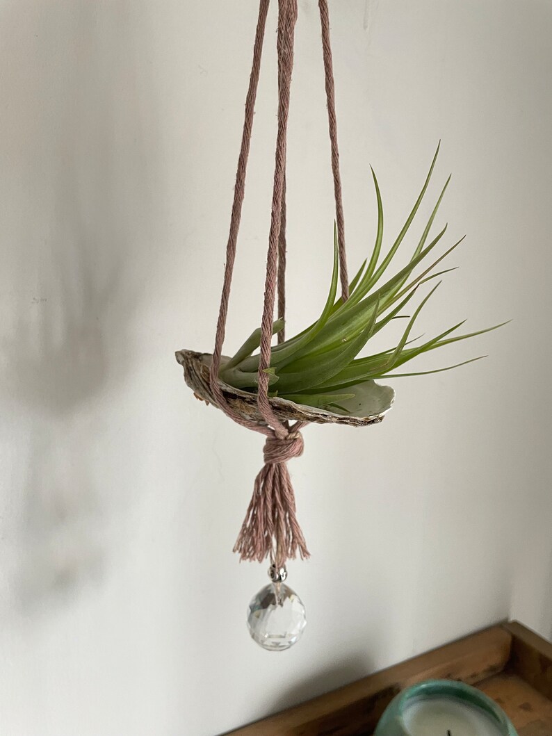 Air Plant Hanger Sun Catcher Rainbow Maker Moon Phases Celestial Etsy