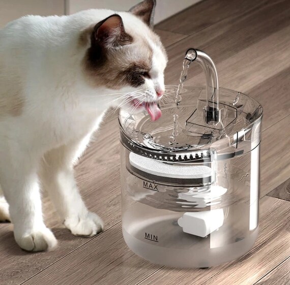 2L Automatic Cat Water Fountain With Faucet Dog Water Etsy