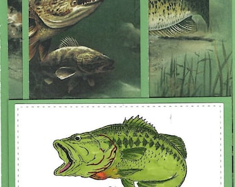 Cards