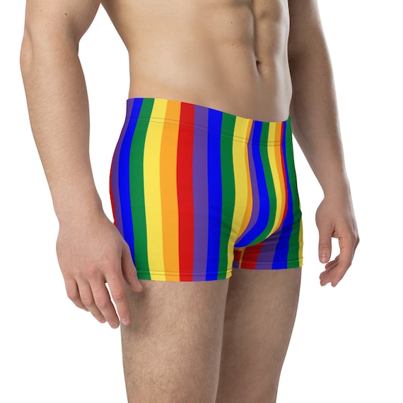 Rainbow Pride Flag Boxer Briefs / Gay Pride Underwear / Funny