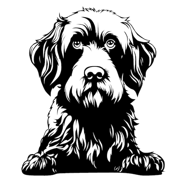 Wirehaired Pointing Griffon,Peeking Wirehaired Pointing svg, Wirehaired Pointing svg file ,Wirehaired Pointing print tshirt design Svg, Png