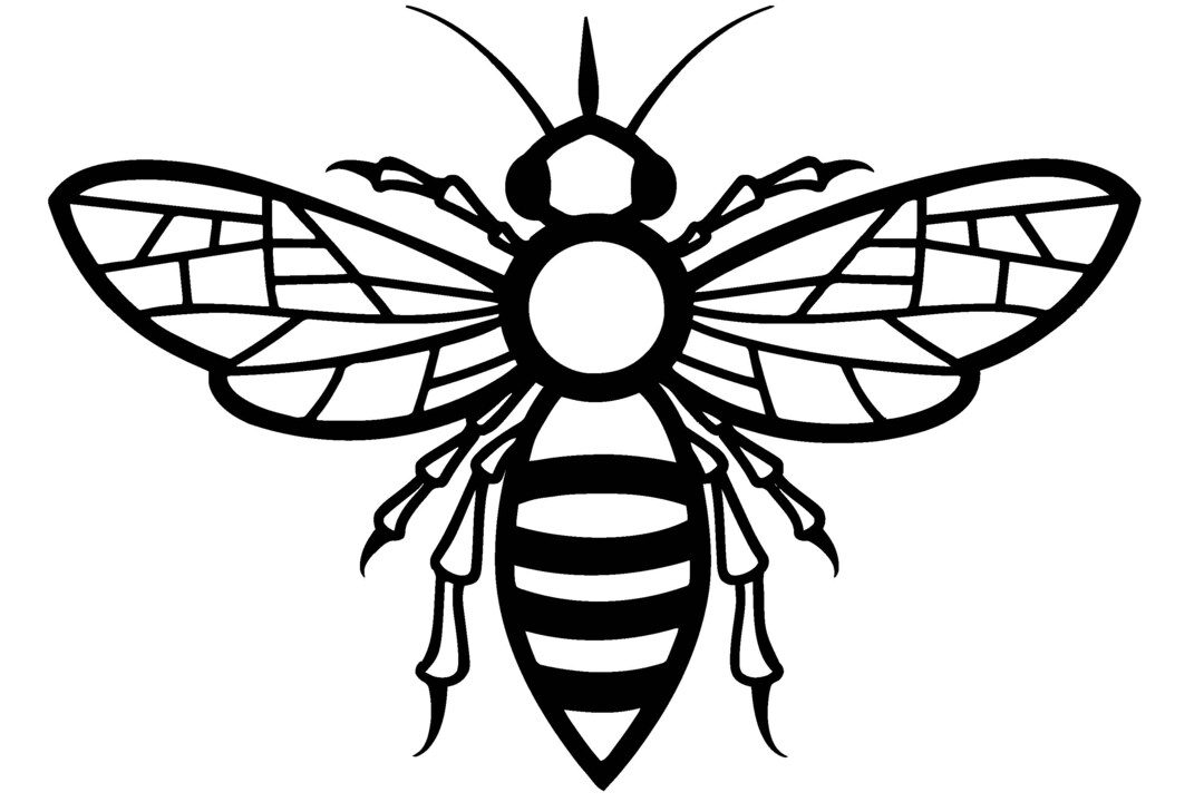 Bee Vector, Bee Svg, Bee Transparent Png, Bee Clipart, Honey Bee Svg - Etsy