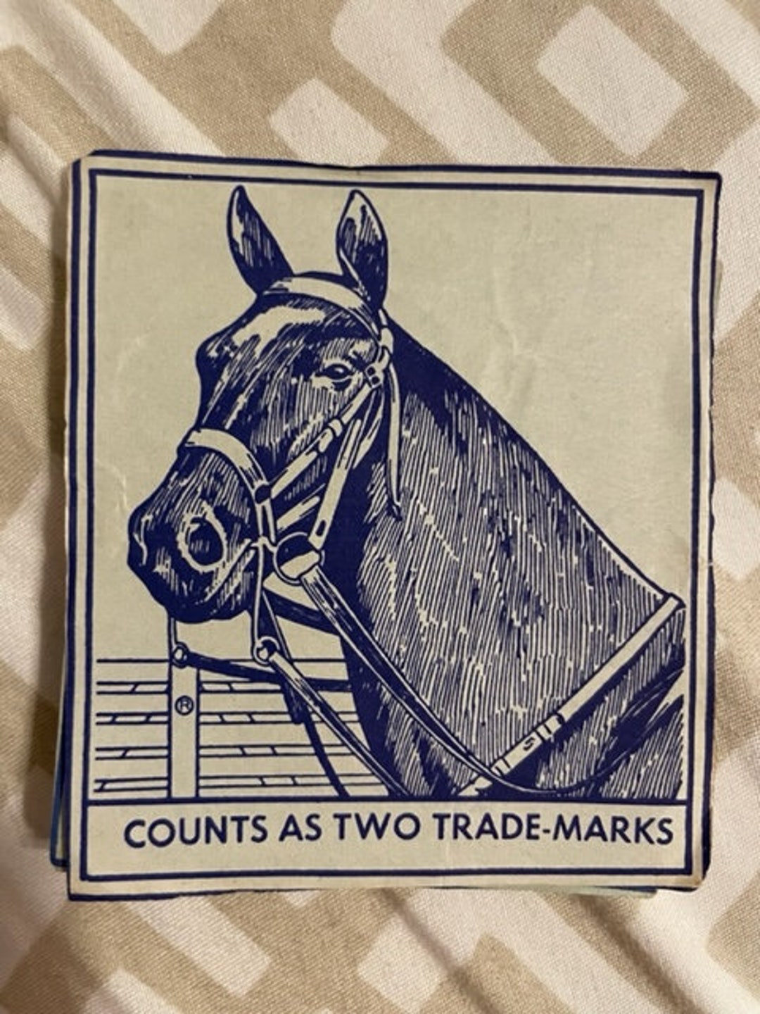 Blue top horse notebook