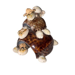 May include: A stack of three sea shell turtles, the top turtle wearing a straw hat, the middle turtle wearing glasses, and the bottom turtle with its head peeking out from under the shell.