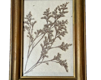 Vintage Gepresste Blumen Eingerahmt 1998 Botanisches Kunst Dekor 15X7