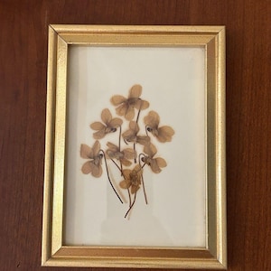 May include: A rectangular picture frame with a textured gold finish containing a pressed arrangement of dried, light brown flowers with thin stems. The flowers are centered against a plain, off-white background behind a clear glass pane.