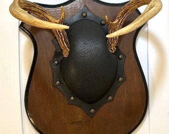 Placa de pared antigua con la figura de un ciervo de cola blanca de seis puntas montado.