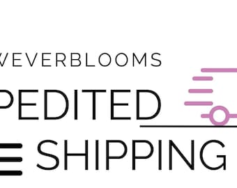 Wrapping Paper Shipping Add-On