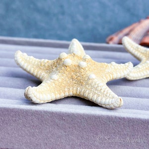 Natural Starfish Hair Clip, Mermaid Hair Accessories, Sea Star Hairpin, Shell Crafts, Ocean Style Beach Hairpin
