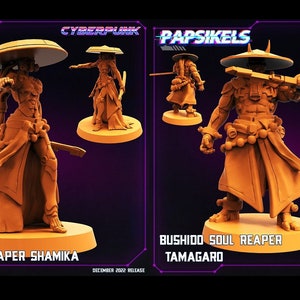 Cyber Samurai - Round 5 - Shamika and Tamagaro | 2 design options | 32mm scale miniature | Papsikels