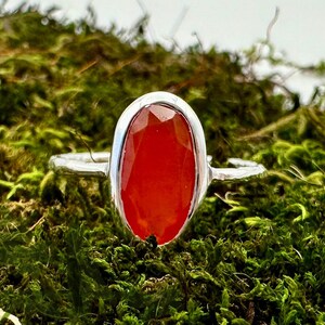 Peut inclure: Une bague en argent avec une pierre pr&eacute;cieuse en cornaline rouge. La bague est pos&eacute;e sur un lit de mousse verte.
