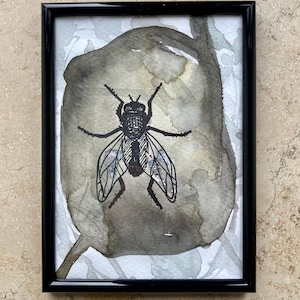Illustration „Fliege“ Original Kunstwerk inklusive Bilderrahmen, Insekt Aquarellmalerei, Fineliner art, Insekten Kunst, Schmeißfliege