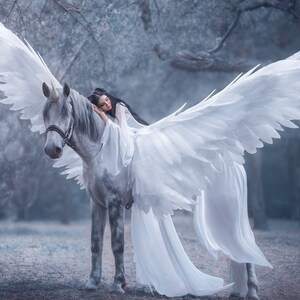 May include: A woman in a white dress with large white wings is riding a white horse in a snowy forest.
