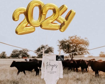 May include: A white baby onesie with the text "Baby Hayes October 2024" hanging on a clothesline with gold 2024 balloons in the background.  There are cattle in the field.