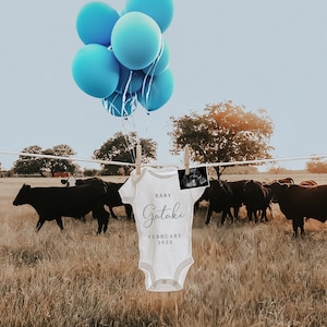 Boy Pregnancy Announcement Digital | Baby Boy Announcement | Announcement With Blue Balloons | Download Social Media Facebook Instagram Post