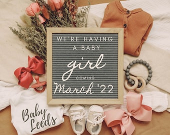 Digital pregnancy announcement | gender it's a girl | pregnancy announcement social media facebook instagram