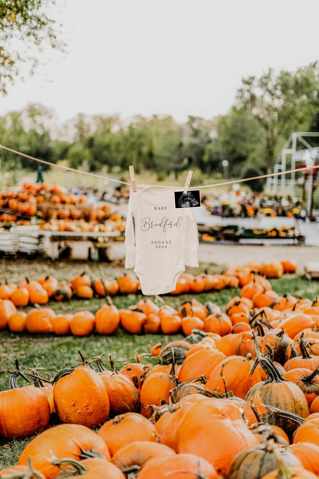 Pumpkin Patch Pregnancy Announcement Digital | Digital Fall Baby ...