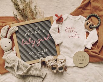May include: A wooden letter board with the text "We're having a baby girl October 2022". A white onesie with the text "little sister" in pink. A wooden baby name sign with the text "Baby Berry". A stuffed bunny, a pair of baby shoes, and a wooden teether.