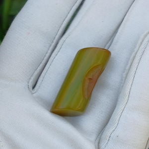 May include: A small, olive-green, rectangular object with a curved design and a reddish-brown spot. The object is held in a white glove, with a pink flower and green leaves in the background.