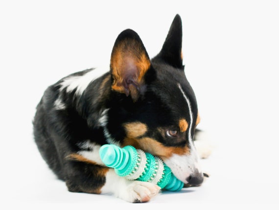 Interactive Dog and Puppy Chew Toy Natural Rubber Durable & Safe Mental  Stimulation and Fun Teeth Cleaning 